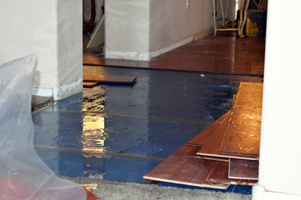 Professional Water Damage Restoration technician working in Clarksville, NY
